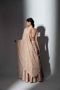 Shenena Sethi hand embroidered semi raw silk lehenga set 